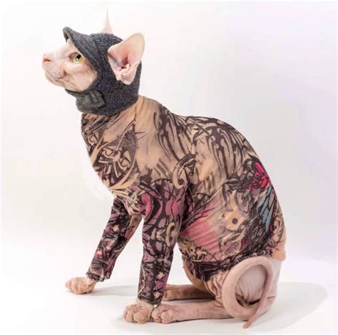 These Tattoo Sleeves Let Your Cat Get Inked Up Without Any Harm Done | Gato sin pelo, Esfinge de ...