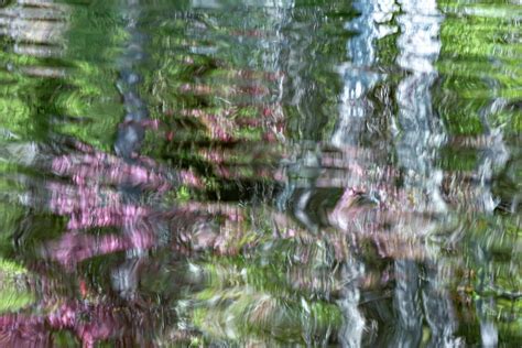 Adrift on Polliwog Pond Photograph by Linda MacFarland