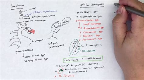 Third Generation Cephalosporins - YouTube