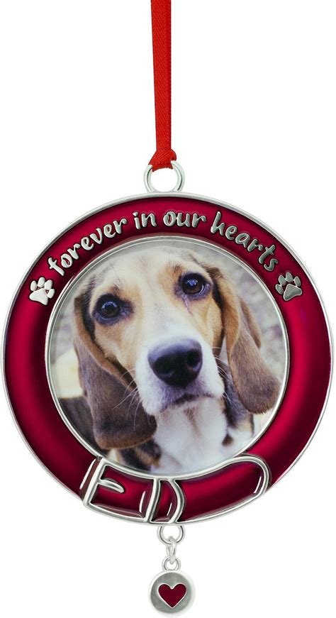 HALLMARK Pet Memorial Picture Frame Christmas Ornament - Chewy.com