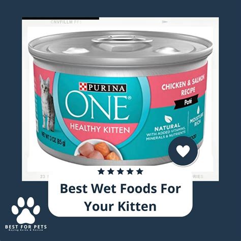 The Best Wet Foods For Your Kitten: 11 Best Sellers - BestForPets.org