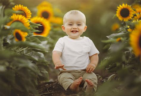 2023 Sunflower Mini Sessions