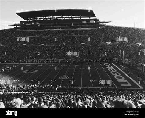 University of oregon ducks football university of oregon football hi ...