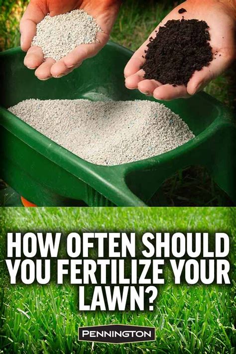 Best Fall Lawn Fertilizer