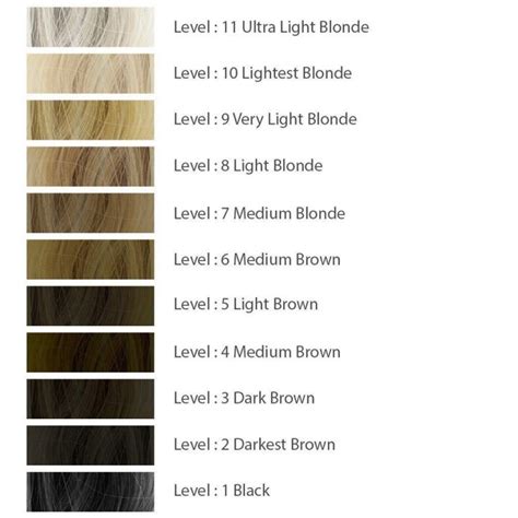 Guide for Hair Color Levels: Find What's Your Hairs Tone?