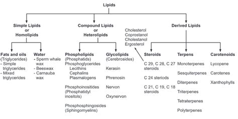 Classification of Lipids - Biology Ease