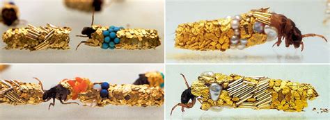 Caddisfly Jewelry Extends From The Work Of Hubert Duprat – Artificial ...