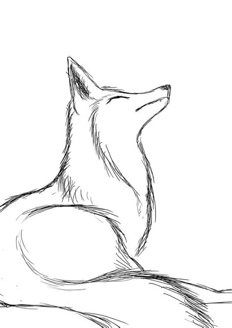 Practicing: Fox sketch by FireRai on DeviantArt | Fox sketch, Fox ...