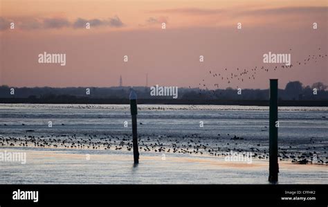 Sunset over Breydon Water, Norfolk Stock Photo - Alamy