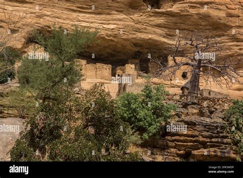 Abandoned cliff dwellings on the Bandiagara escarpment above Piri ...