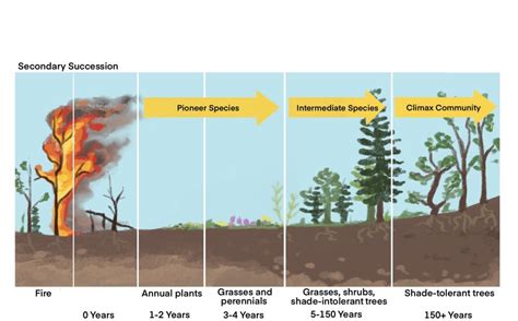 Changing Ecosystems - Page 3 of 6 - QCE Biology Revision