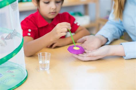 Insect Lore Butterfly Garden Kit with Two LIVE Cups of Caterpillars pl – STEMfinity