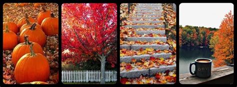 pretty fall facebook cover photos - Sirena Montez