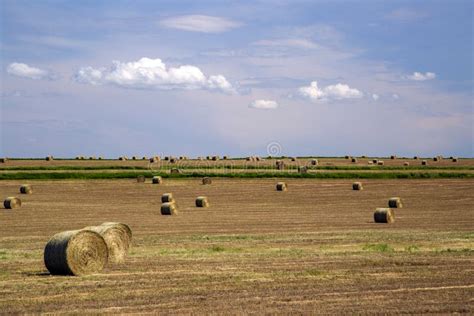 Agriculture Farmland Harvest Canadian Prairies Stock Photo - Image of ...