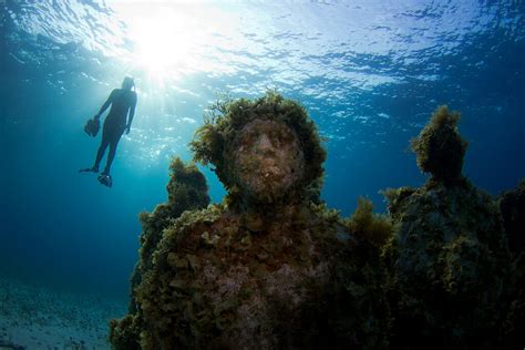 Cancun underwater museum and dolphin ride | Dolphinaris