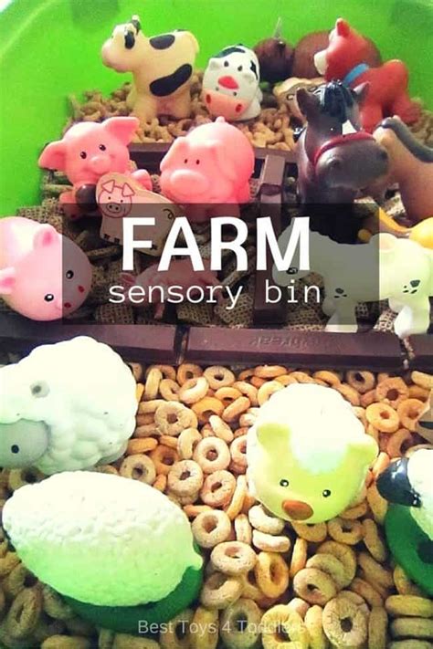 Farm Sensory Bin