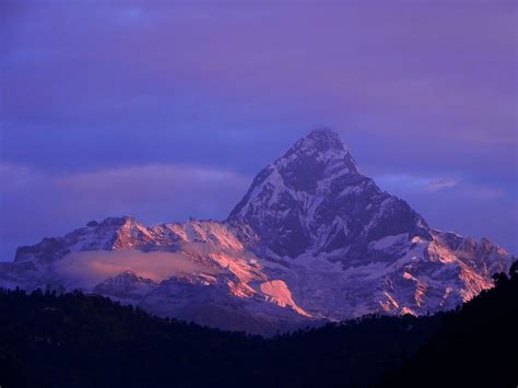 Elevation map of Himalayas - Topographic Map - Altitude Map