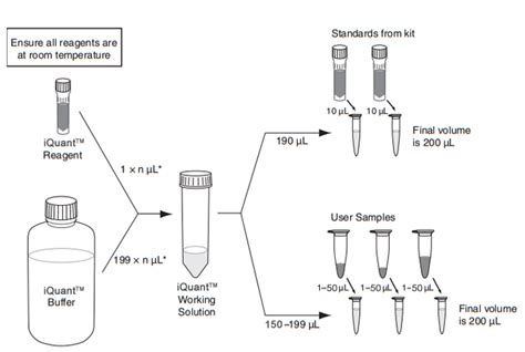 iQuant™ dsDNA HS Assay Kit | ABP Biosciences