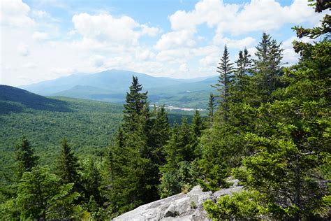 Montane Spruce-Fir Forests | Appalachian Trail Conservancy