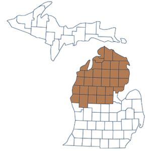 Regional County Groups - The Michigan Association of Counties