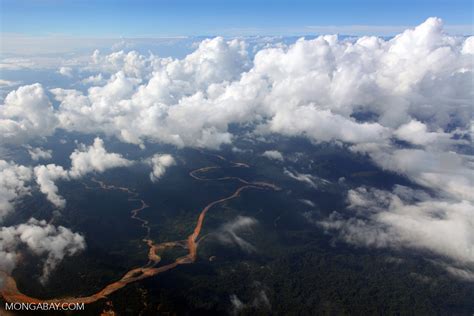 Climate Change and the Amazon Rainforest