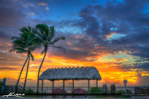 Juno Beach Pier Sunrise Coconut Tree Tiki Sunrise