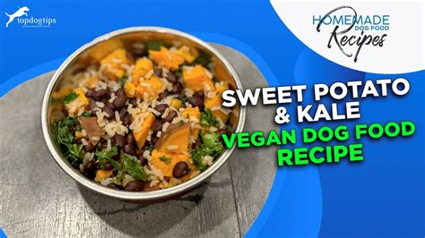Sweet Potato & Kale Vegan Dog Food Recipe – Top Dog Tips