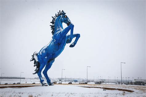 The Story of Blucifer: Denver’s Spooky and Deadly Horse