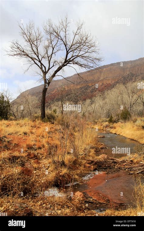 At Jemez River New Mexico Stock Photo - Alamy