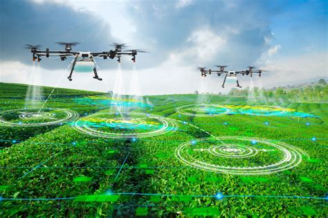 Precision agriculture: the hype around drone technology - Bearing Tips