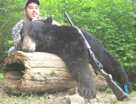 Bob Shell's Blog: Bear Hunting in Canada