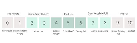 Intuitive Eating 101 - How To Use The The Hunger Scale