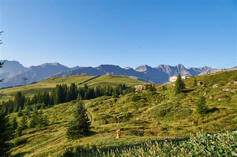 Themed Hiking Routes | Holidays in Arosa | Switzerland