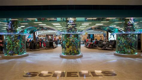 5 things to do at Scheels besides shopping