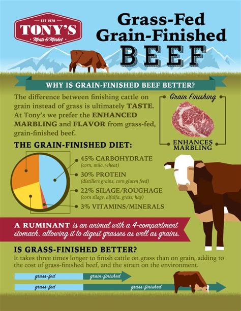 The Benefits of Grass-Fed, Grain-Finished Beef - Tony's Meats & Market