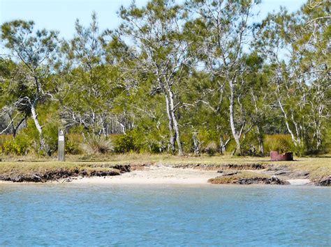 Lime Pocket camping area | Bribie Island National Park and Recreation Area | Parks and forests ...