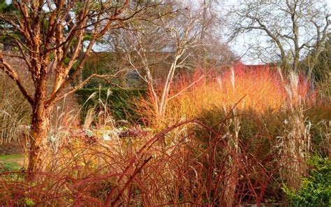 Visit to Cambridge Botanic Winter Gardens, by Carole Jordorson