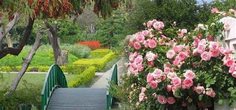 Chandigarh Rose Garden Festival | Fasci Garden