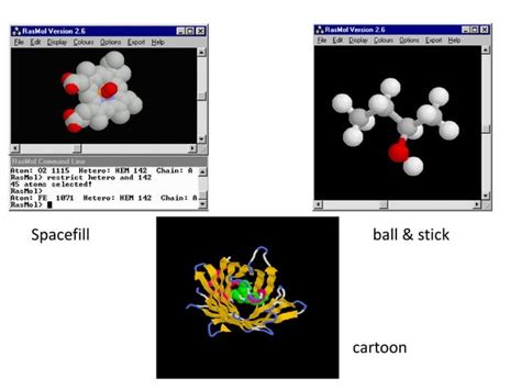 Molecular modelling (1)