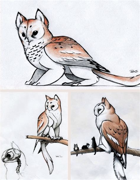 Owl griffin, they are so cute!!! Edited by Kira Claypoole--example for ...