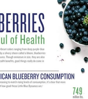 9 Blueberry Benefits Infographic