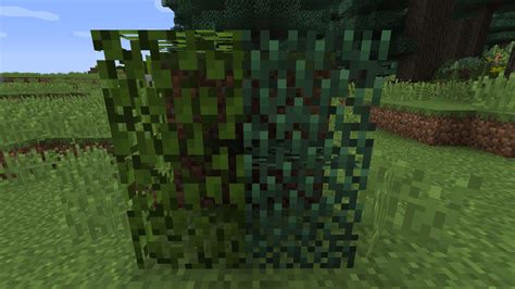 How can I configure the optifine "smart leaves" option to work with modded leaves on 1.8? : r ...