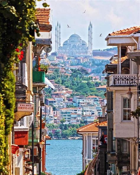 Istanbul (old city), Turkey Airbnb, Places To Travel, Travel Destinations, Places To Visit ...