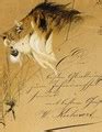 Lion Head Study - Wilhelm Kuhnert - WikiGallery.org, the largest gallery in the world