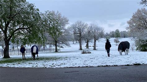 Riding on snow: is it safe? - Horse & Hound