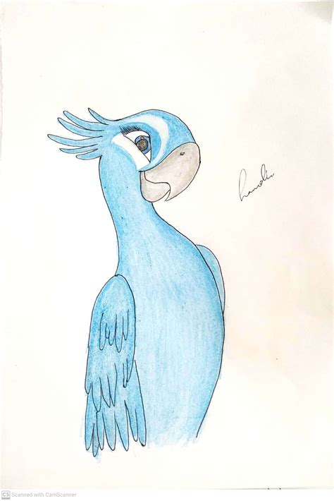 Rio Drawing | Easy disney drawings, Easy drawings, Bird drawings