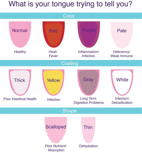 What Does A Healthy Tongue Look Like