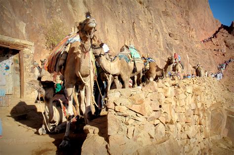 A night trek to the summit of Mount Sinai, Egypt