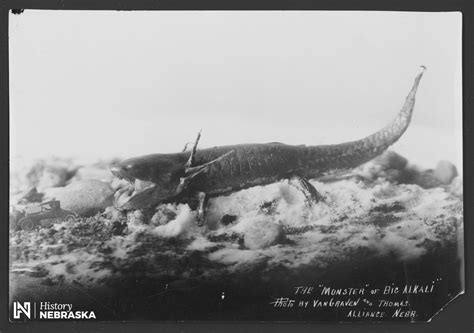 Nebraska's Lake Monster- Giganticus Brutervious - Nebraska State ...