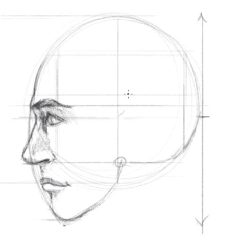 How To Draw A Face Profile - Forcesurgery24